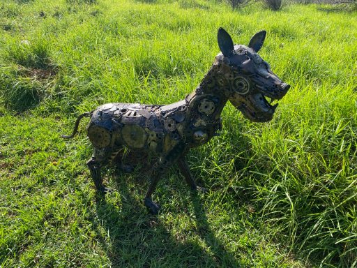 Dog