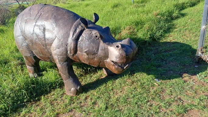 Hippo small