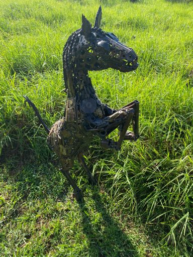 Small Horse