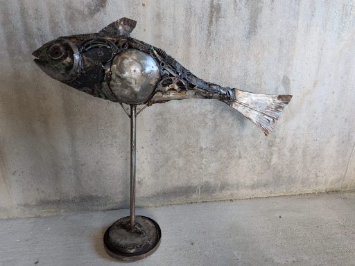 Fish