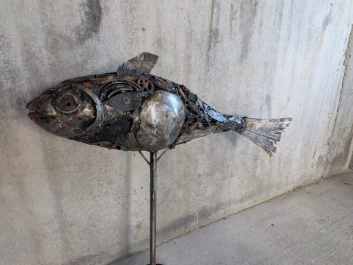 Fish