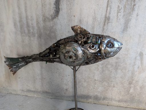 Fish