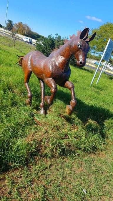 Big Horse