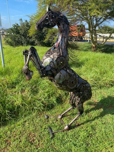 Big Horse