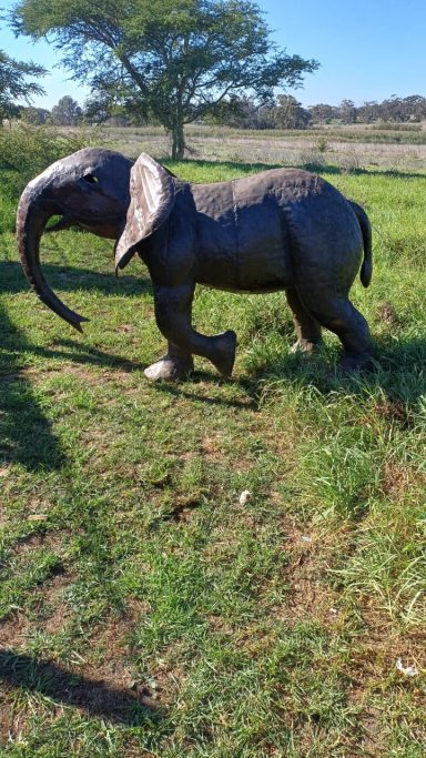 Small Elefant