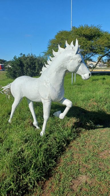 Horse white