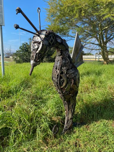 Sea Horse